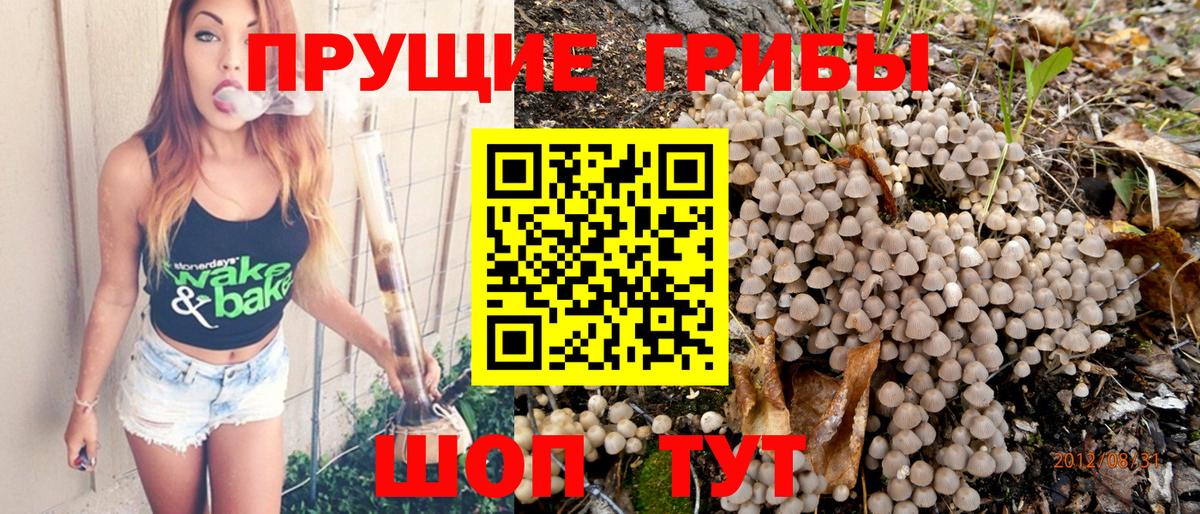 Конопля Лыткарино