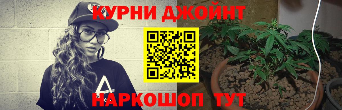 Лыткарино  Шишки марихуана VHQ  Вход с VPN  Бошки марихуана сатива  Шишки марихуана сатива 